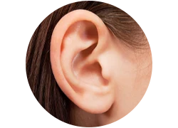 reconstruction de oreille